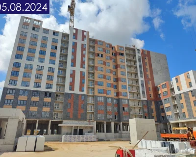 2024 Август