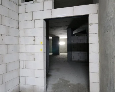 2025 Ноябрь